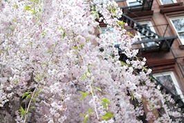 f0063659_823323.jpg