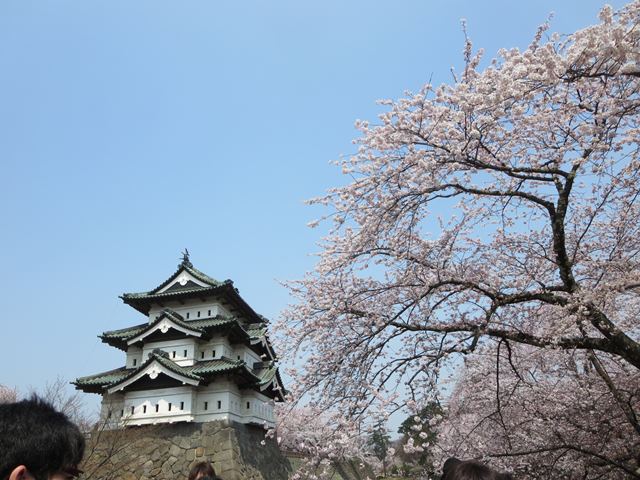 【北東北桜追い旅⑫】桜満開の弘前城_c0042960_0341248.jpg