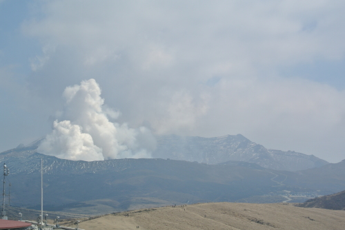 c0080861_10375315.jpg