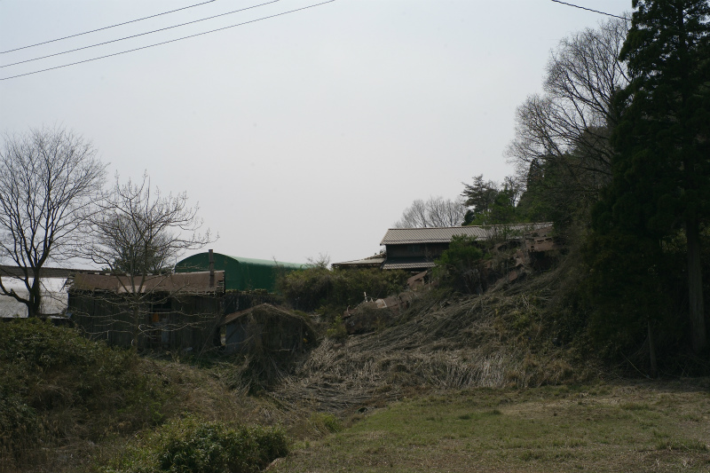 a0022762_738591.jpg