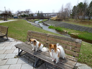 b0122262_20202470.jpg