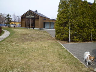 b0122262_2021367.jpg