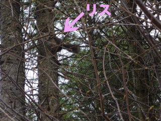 b0122262_20251087.jpg