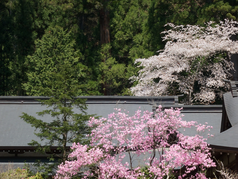 日光二荒山神社_a0098864_2134780.jpg