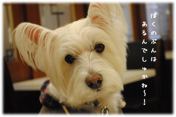 b0242873_09265254.png