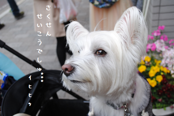 b0242873_09450698.png