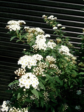 e0212073_18445432.jpg