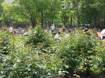 f0259373_09382716.jpg