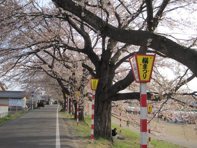 女川　日帰りバスツアー_a0085677_1558212.jpg