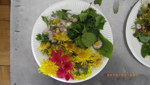 目で味わう春サラダ_e0290580_10552279.jpg