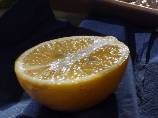 2014年4月27日 3度は違う_b0098584_861197.jpg