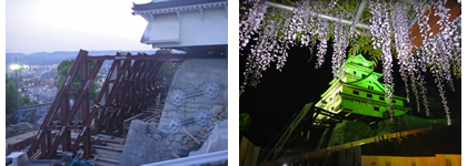 唐津城と藤_d0132289_13150820.jpg
