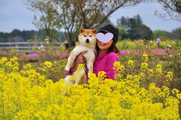 みんな元気_a0126590_23134699.jpg