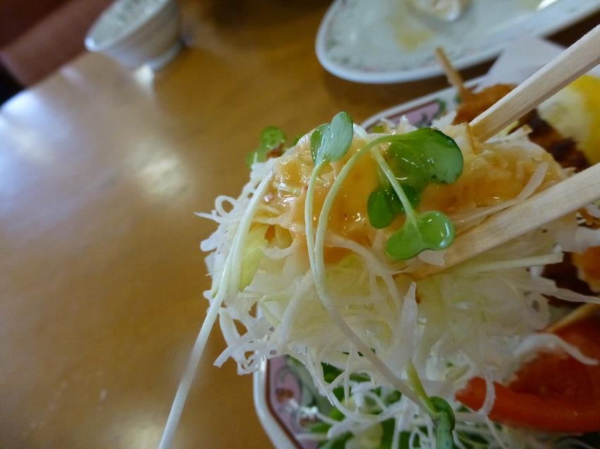餃子の王将 多田店_c0118393_18432432.jpg