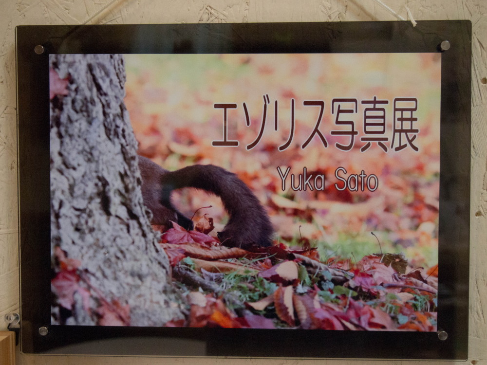 「えぞりす写真展~SatoYuka~」リニューアルしました。_f0276498_22222670.jpg