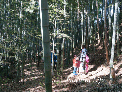 b0162000_03301039.gif