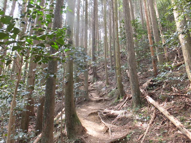 a0271502_16521785.jpg