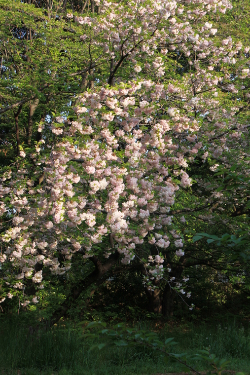 d0248502_9203022.jpg