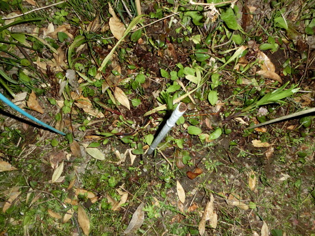 a0203003_19335749.jpg
