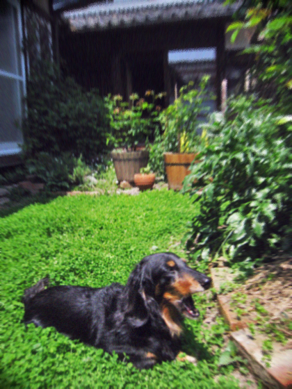 d0077603_9563518.jpg