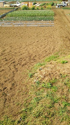 e0270403_1255464.jpg