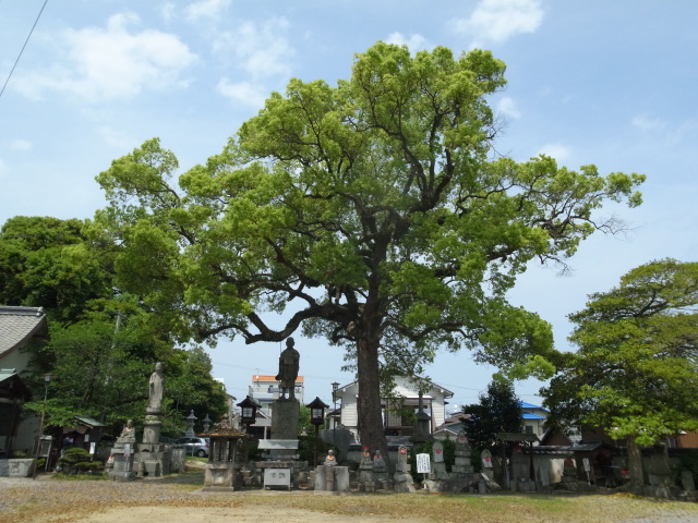 f0197703_17595956.jpg