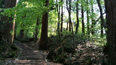 e0175905_22303159.jpg