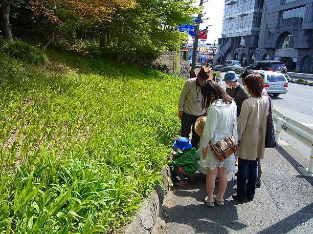 生きもの観察会_b0049307_1731613.jpg