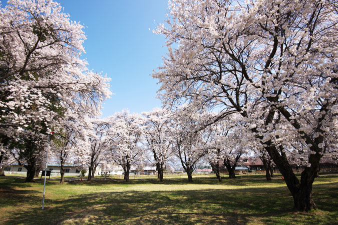 長野県佐久市　茨城牧場長野支場_a0263109_18544917.jpg