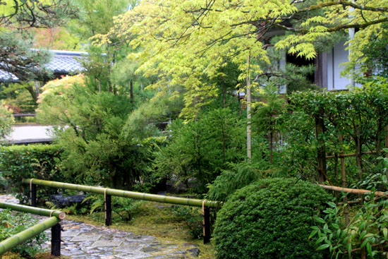 鷹ヶ峰光悦寺と妙見宮　新緑_e0048413_22235482.jpg