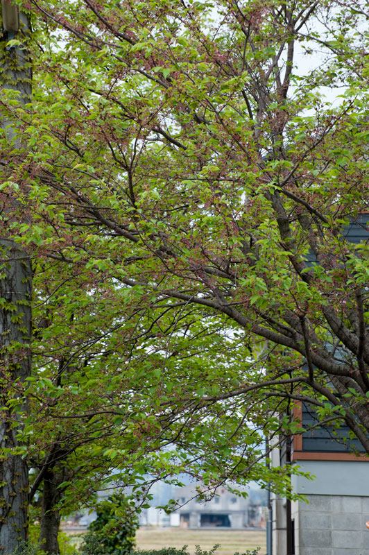 a0278914_11573022.jpg