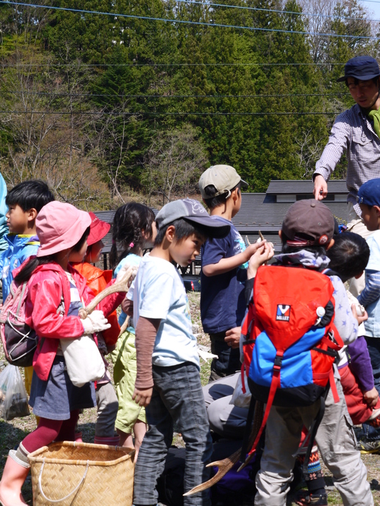 鹿の角探し・・・今年も拾ってきました～～_a0292714_1023499.jpg