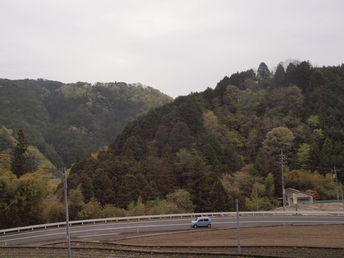 萌黄色の山々_c0116915_23552180.jpg