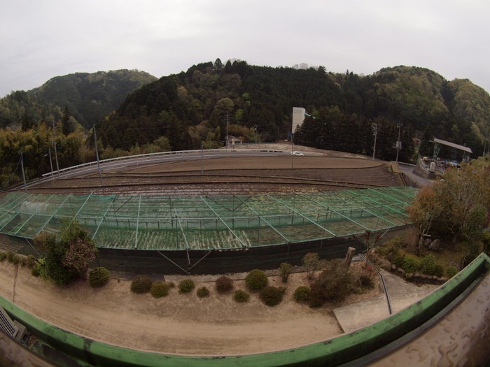 萌黄色の山々_c0116915_23555018.jpg
