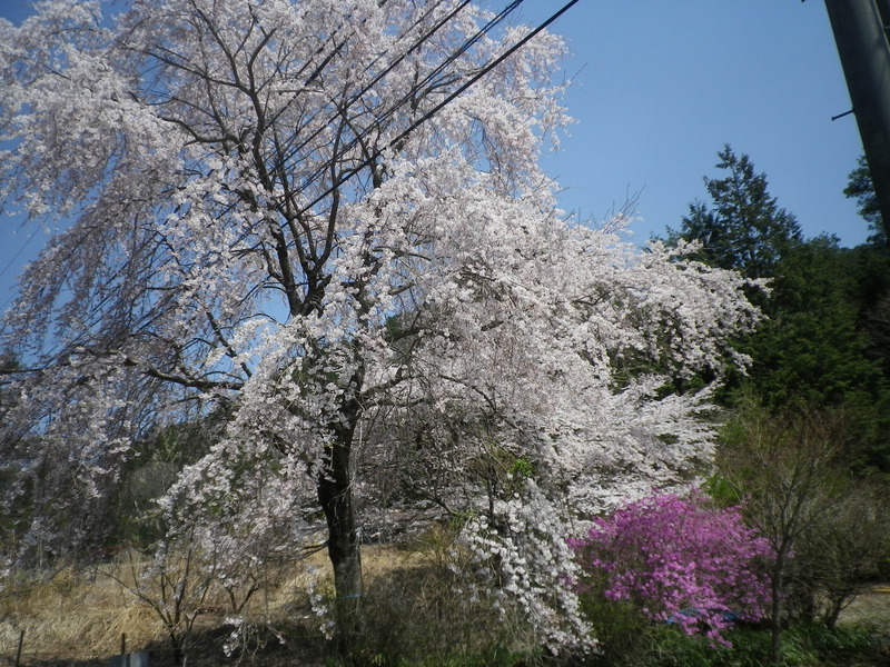 今年初、茶臼山ライド（後編）_b0270321_712386.jpg