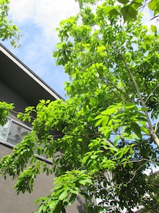 f0147922_16363967.jpg