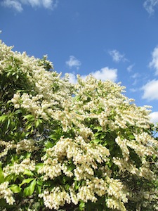 f0147922_20481211.jpg