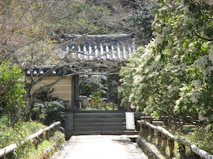 f0147922_20492093.jpg