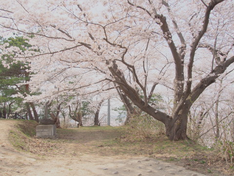 b0147224_23314872.jpg