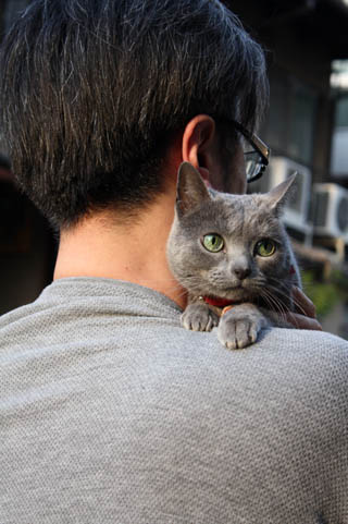 猫(ロッタ)と藤の花を探して_b0199526_5413989.jpg