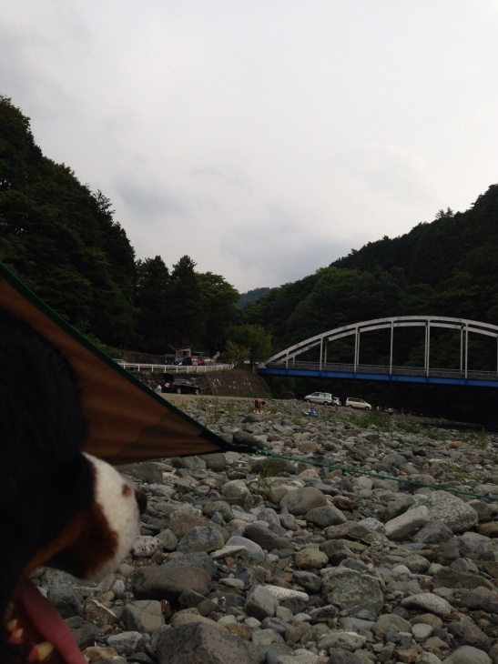 相模原市の大川原橋 風に招ばれて野遊び cotton style
