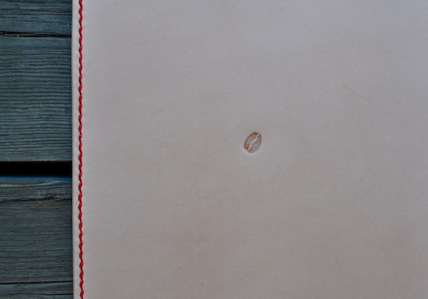 diary cover_b0172633_20215257.jpg