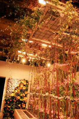 Joca 個展_d0086634_09581679.jpg