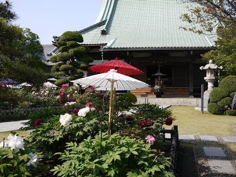 f0232136_11541179.jpg