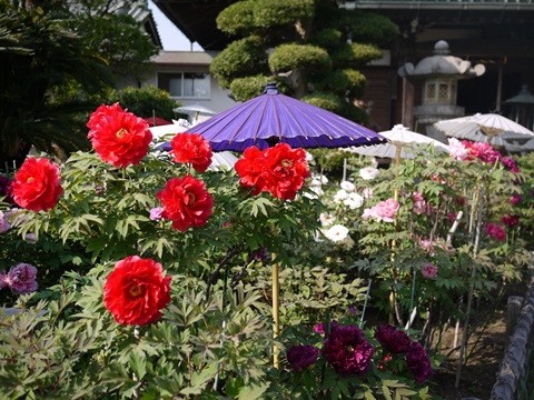 f0232136_11541849.jpg