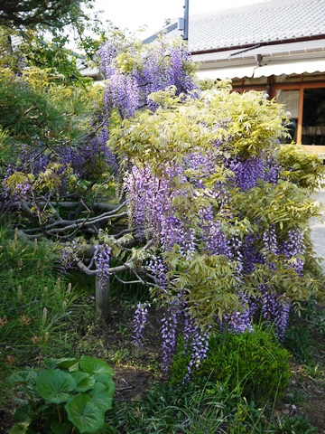 f0232136_11543472.jpg