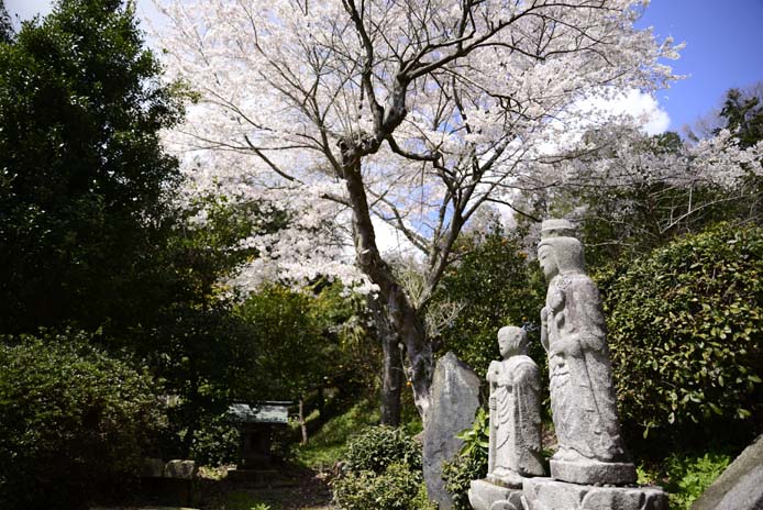 安国寺の石仏  笠間より-1_d0149245_22584769.jpg