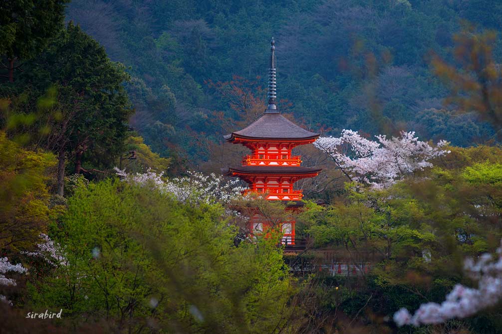 ４．夕暮れの清水寺（京都・洛東）_d0238245_13123427.jpg