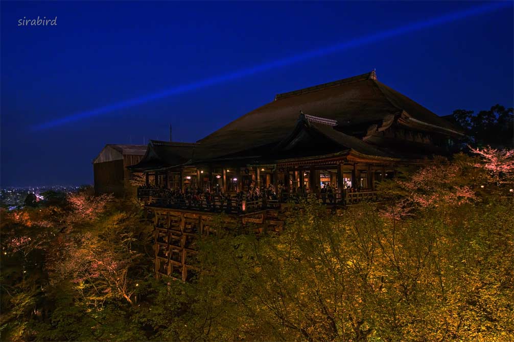 ４．夕暮れの清水寺（京都・洛東）_d0238245_17502359.jpg