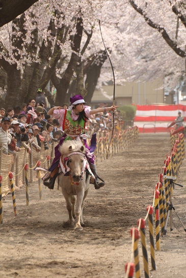 満開の桜！　十和田市春まつりがスタート_f0237658_16583530.jpg